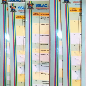 SSLAG 12 Minimum Standard (Day)
