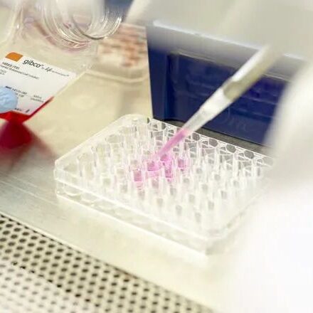 WhatsApp Image 2025-03-13 at 14.18.21_2f540ebc